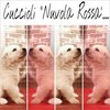 Cuccioli Nuvola Rossa